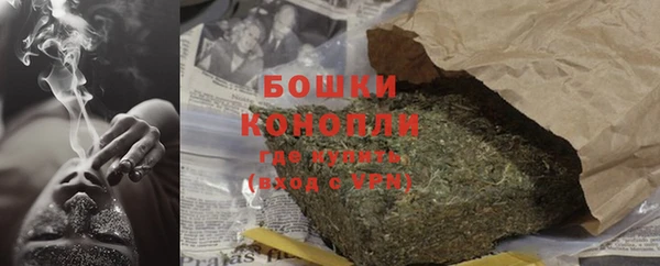 дурь Бронницы