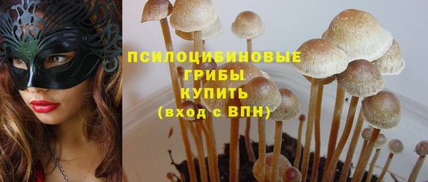 дурь Бронницы