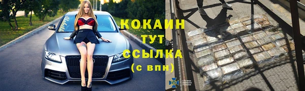 бошки Бородино