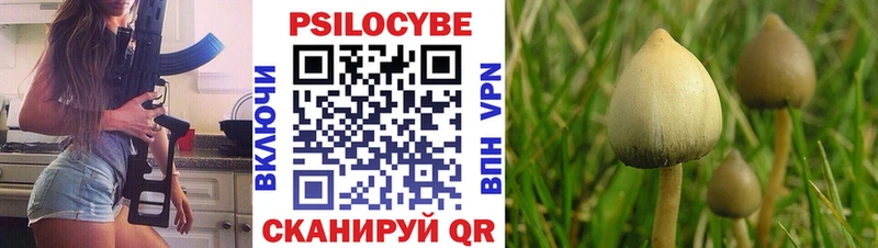 Псилоцибиновые грибы Psilocybe  где можно купить   Дрезна 