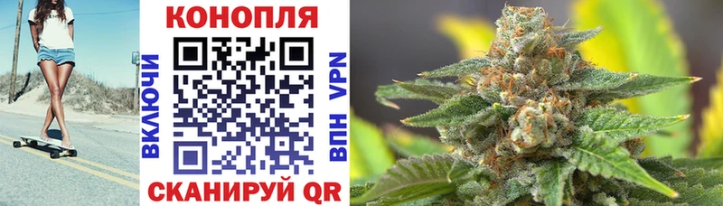 Бошки марихуана план  ссылка на мегу tor  Дрезна  купить  сайты 